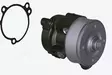 WATER PUMP KDI POLY V - Kohler KDI2504-TCR moottorin varaosat - ED0065845690-S - 1